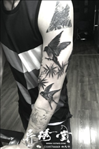 燕子竹子 花臂纹身